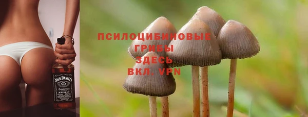 apvp Киреевск