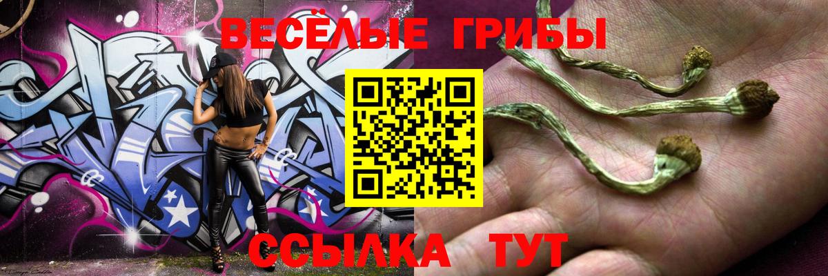 Златоуст  Галлюциногенные грибы MAGIC MUSHROOMS  Вход с VPN 