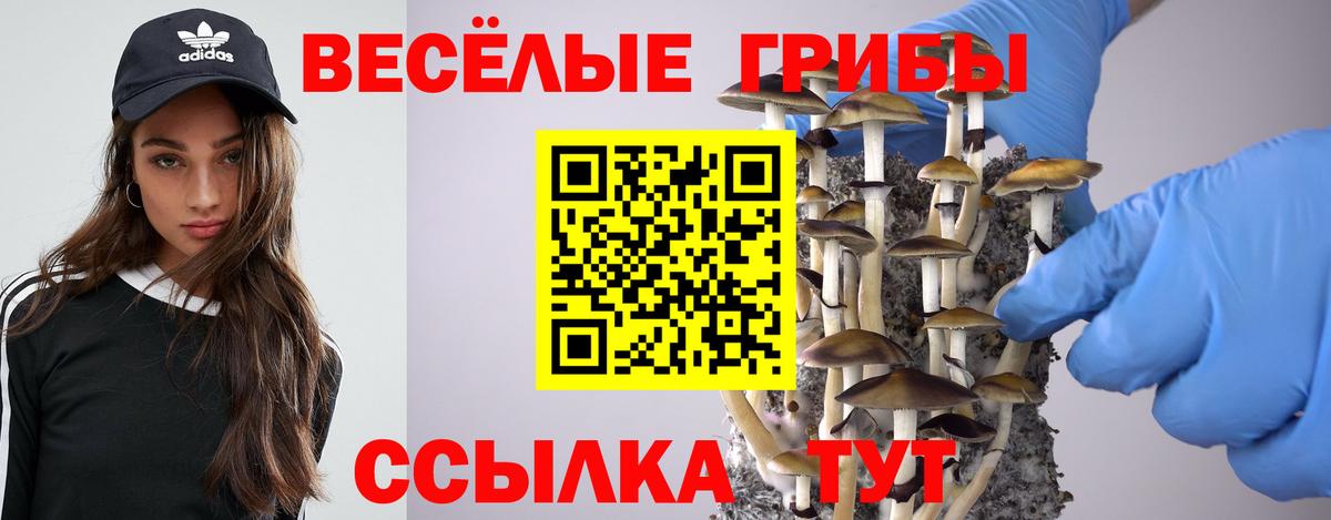 Галлюциногенные грибы Psilocybine cubensis Златоуст